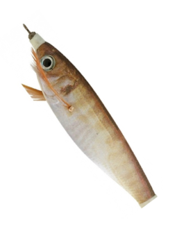 JIBIONERA YAMASHITA TOTO SUTTE NATURAL 95