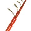 SHIMANO CATANA BX TE SPINNING 240 M