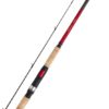 SHIMANO CATANA DX 270 M