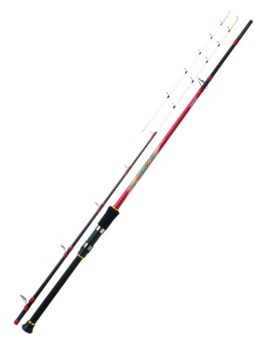 CAÑA DAIWA EXCELER QB 250H