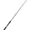 CAÑA DAIWA EXCELER OCEANO JIG 581XHSAF