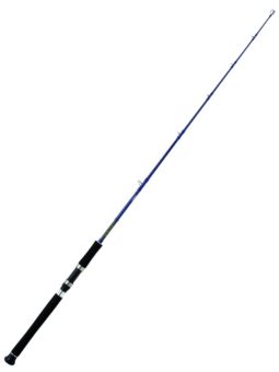 CAÑA DAIWA EXCELER OCEANO JIG 581XHSAF