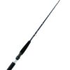 CAÑA DAIWA TANACOM BOAT 180G