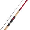 CAÑA SHIMANO CATANA DX 300 XH