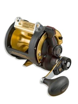 CARRETE SHIMANO TLD 2SPEED 30