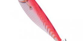 JIBIONERA YAMASHITA TOTO SUTTE R NC70