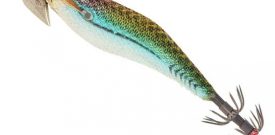 JIBIONERA DAIWA EMERALDAS DART II 30 S