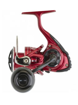 CARRETE DAIWA BG RR LT 5000 D CXH ARK