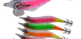JIBIONERA DTD SPECIAL OITA 3.0