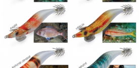 JIBIONERA DTD WEAK FISH OITA 2.5