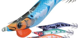 JIBIONERA DTD X EGI 3.0
