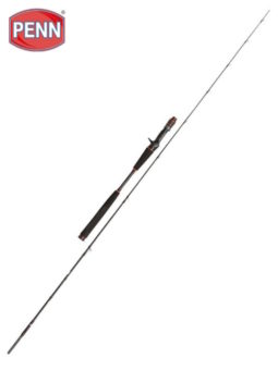 CAÑA PENN CONFLICT LIGHT JIGGING 120 GR