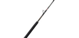 CAÑA PENN SQUALL II 20-50LB