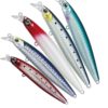 SEÑUELO DAIWA SEABASS HUNTER Z 95F